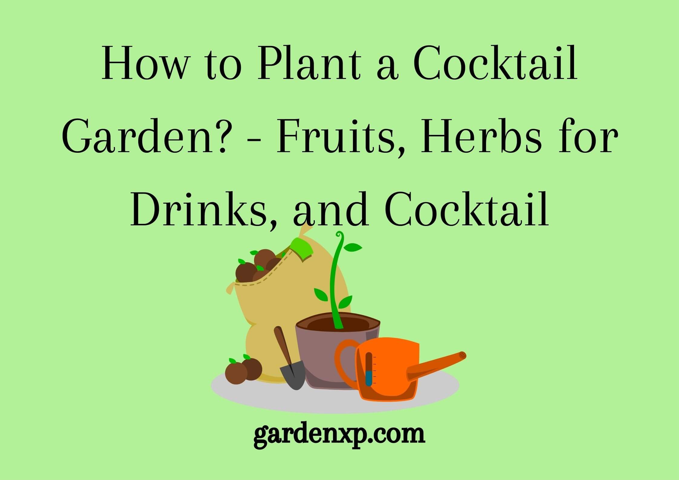 How to Plant a Cocktail Garden? - Fruits Herbs for Drinks and Cocktail