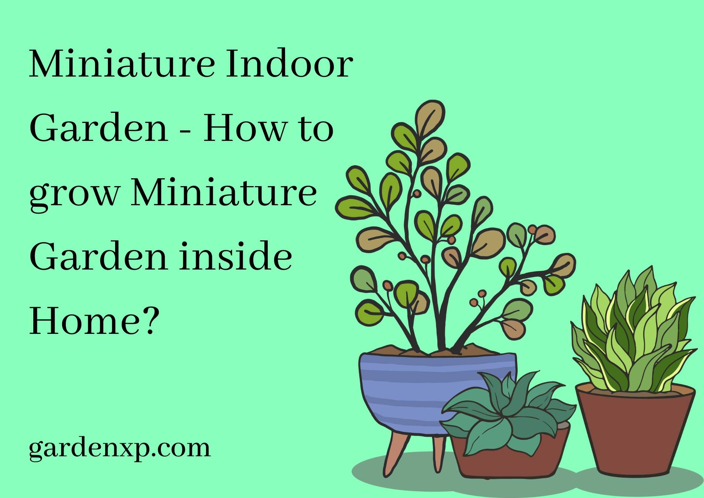 Miniature Indoor Garden - How to grow Miniature Garden inside Home?