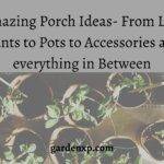 Porch Plant Ideas, Live Plants Pots, and Accessories for Porch Porch ideas