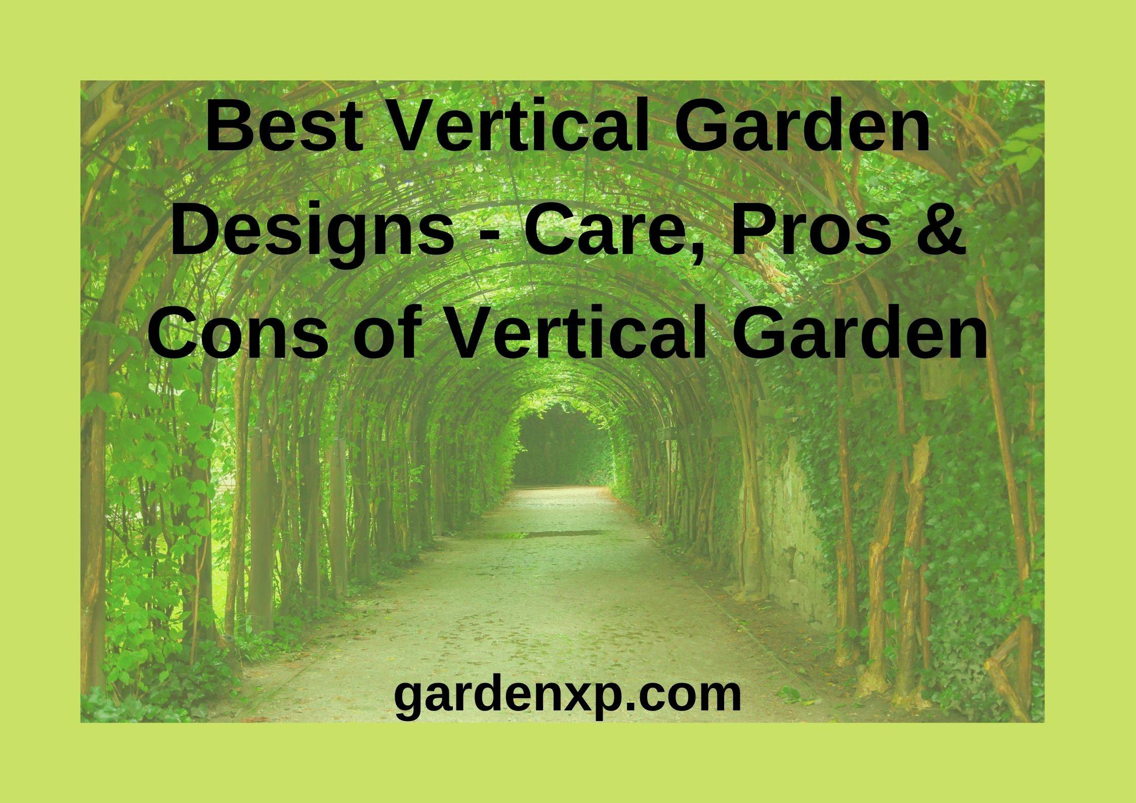 Best Vertical Garden Designs - Care, Pros & Cons of Vertical Garden