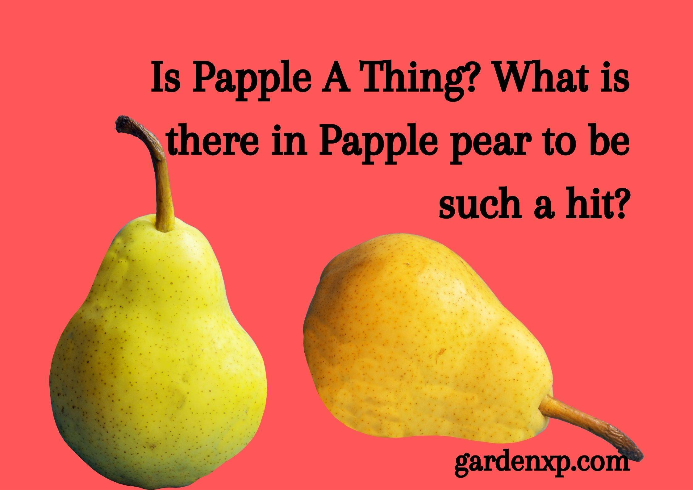 What is Pear Apple Hybrid or Papple fruit? - Latest Hybrid Fruit Papple, Apple-Pear fruit