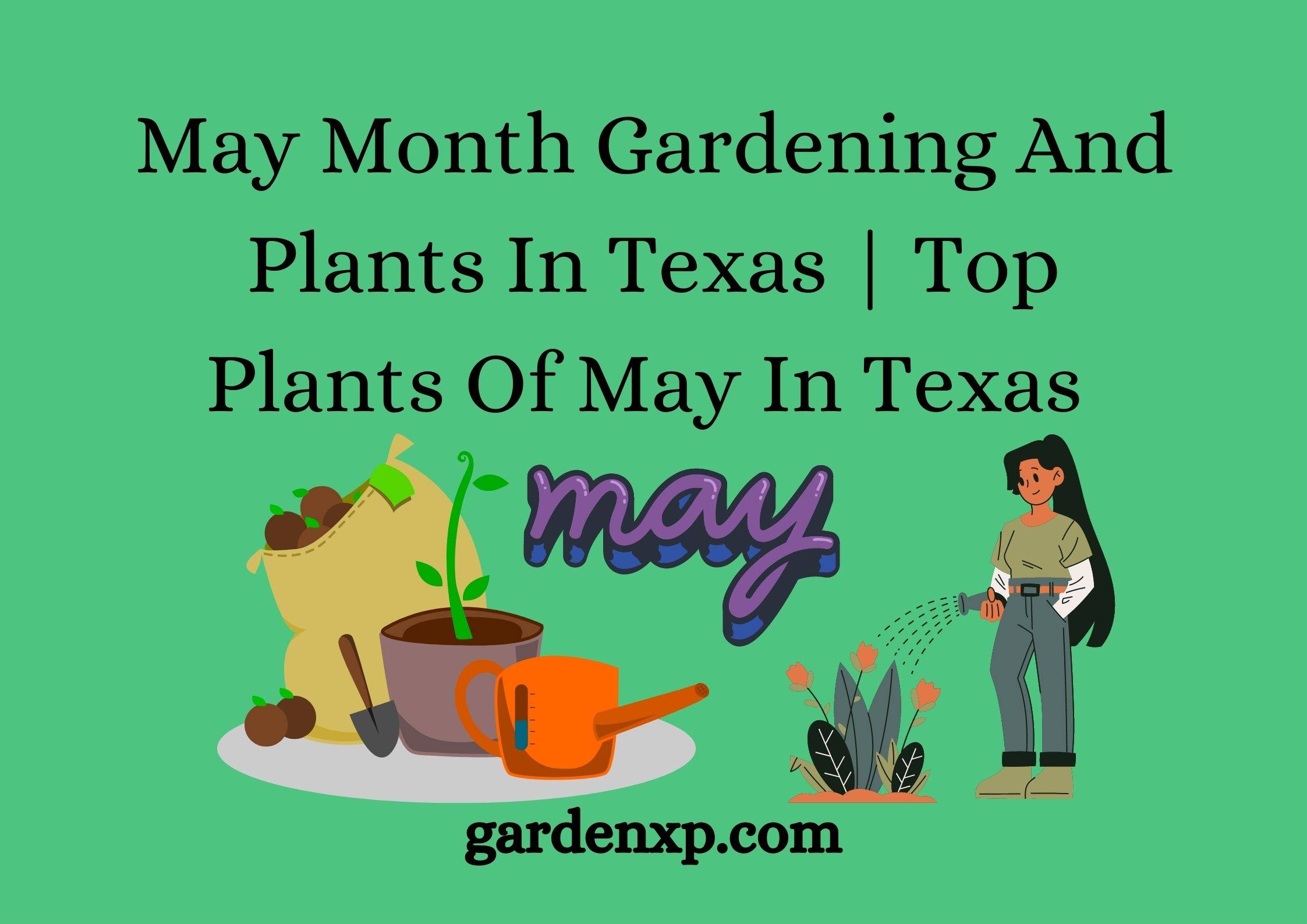 What to plant in May in Texas? Plants and vegetables to plant in Texas in May!