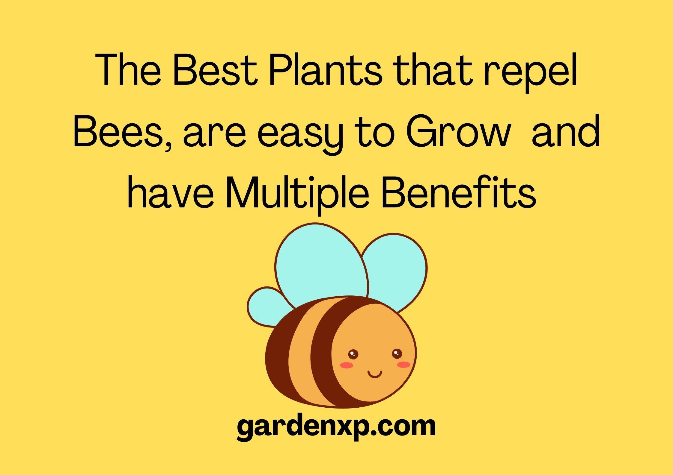 What plants keep bees away? 