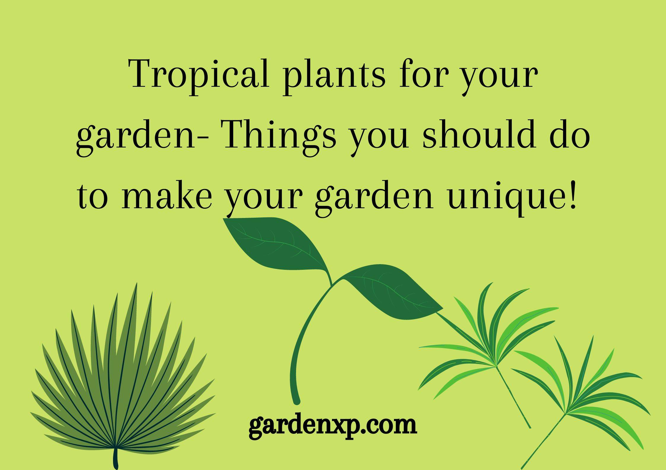 Tropical Plants for shade - How to Create a Dense Tropical Garden for Shade