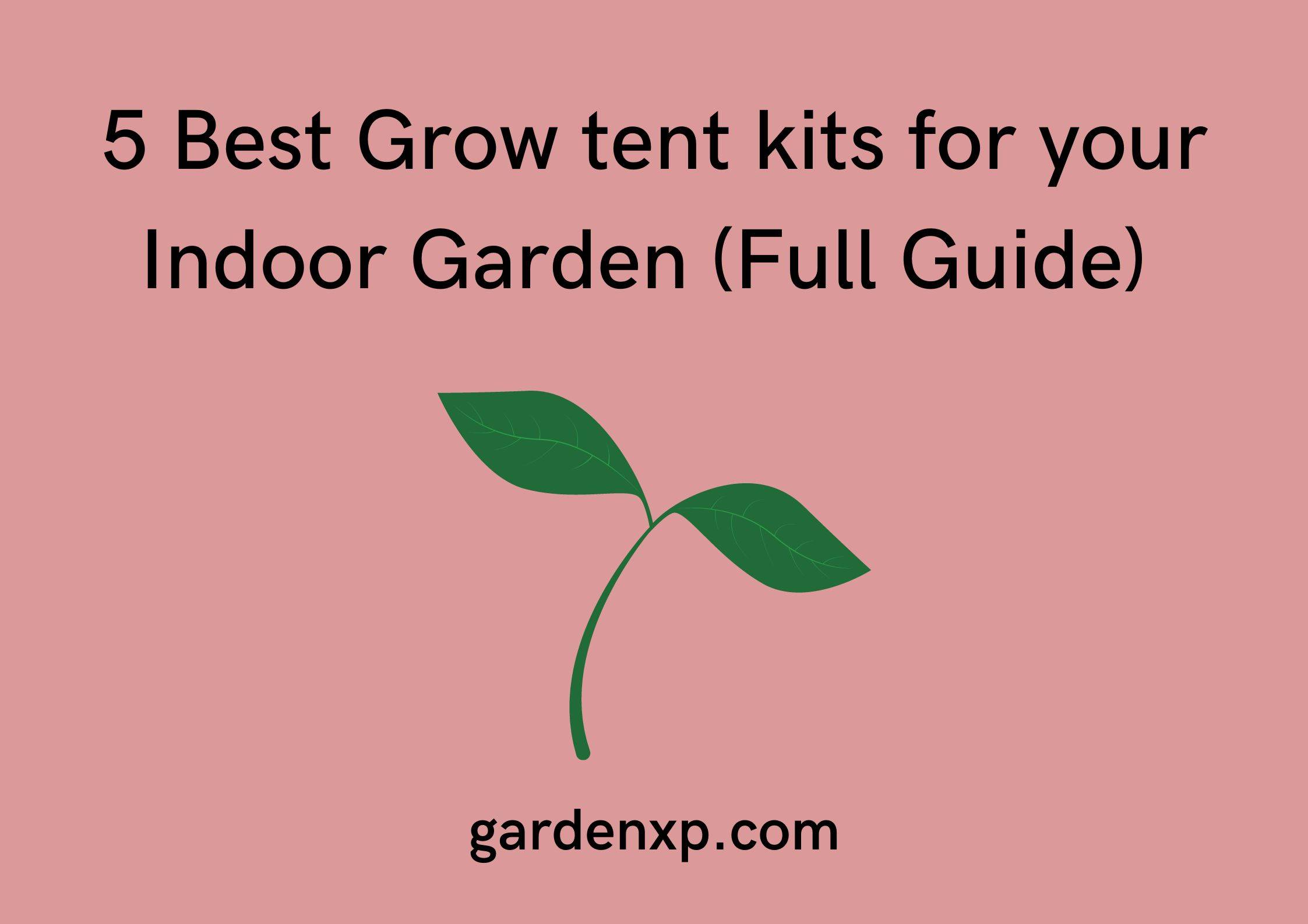 5 Best Grow tent kits for your Indoor Garden (Full Guide) 