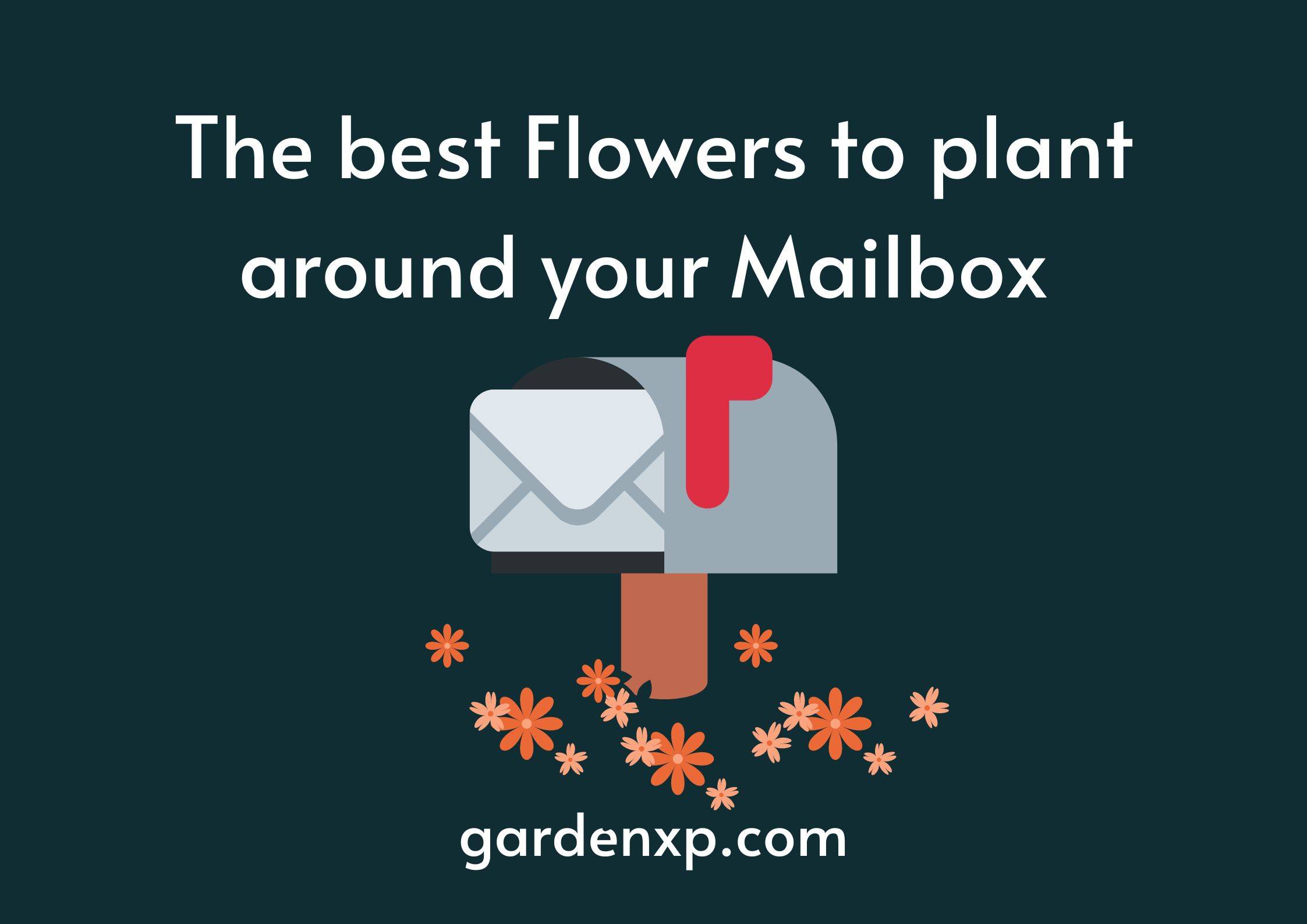 The best Flowers to plant around your Mailbox 