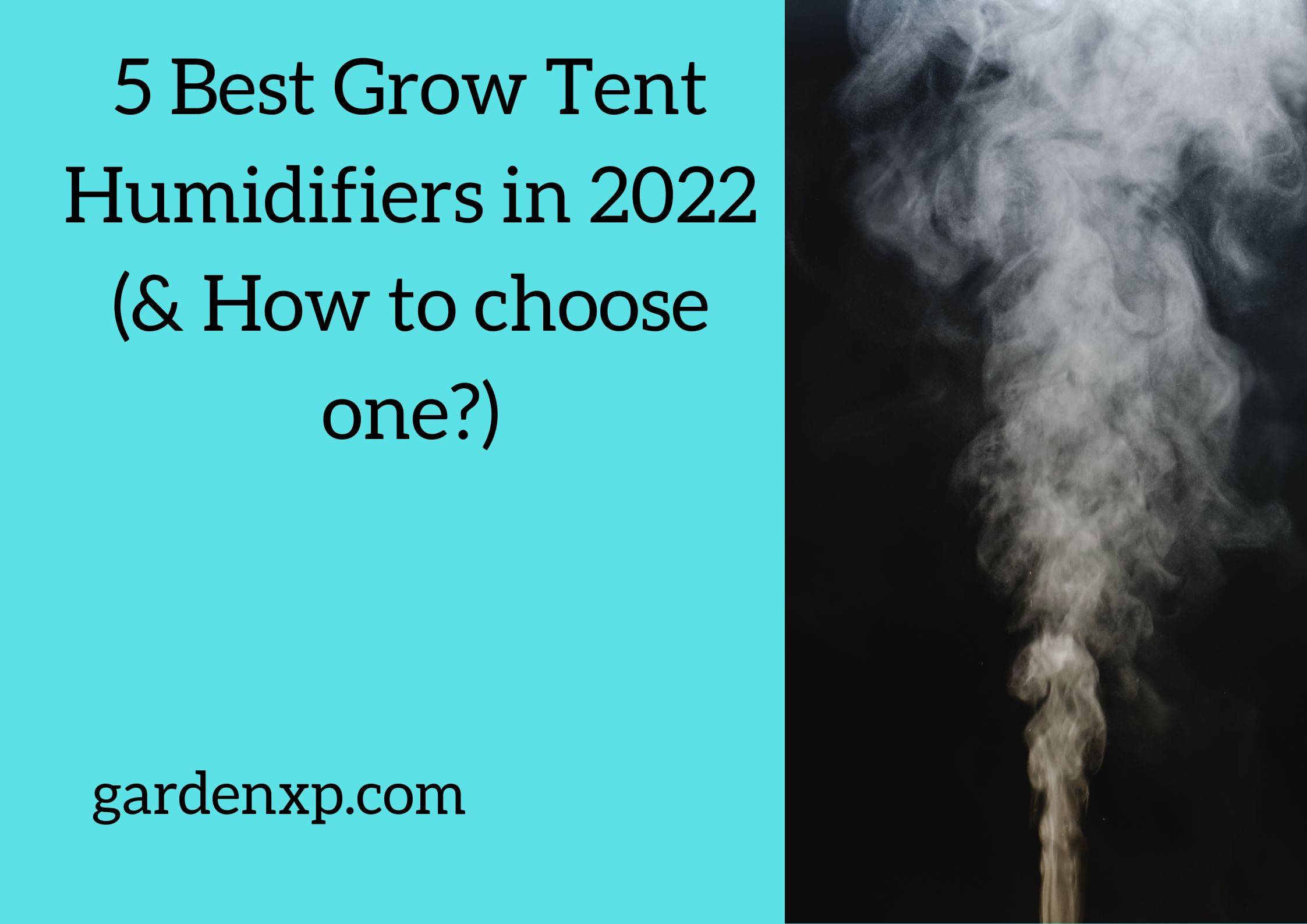 5 Best Grow Tent Humidifiers in 2022 (& How to choose one?)