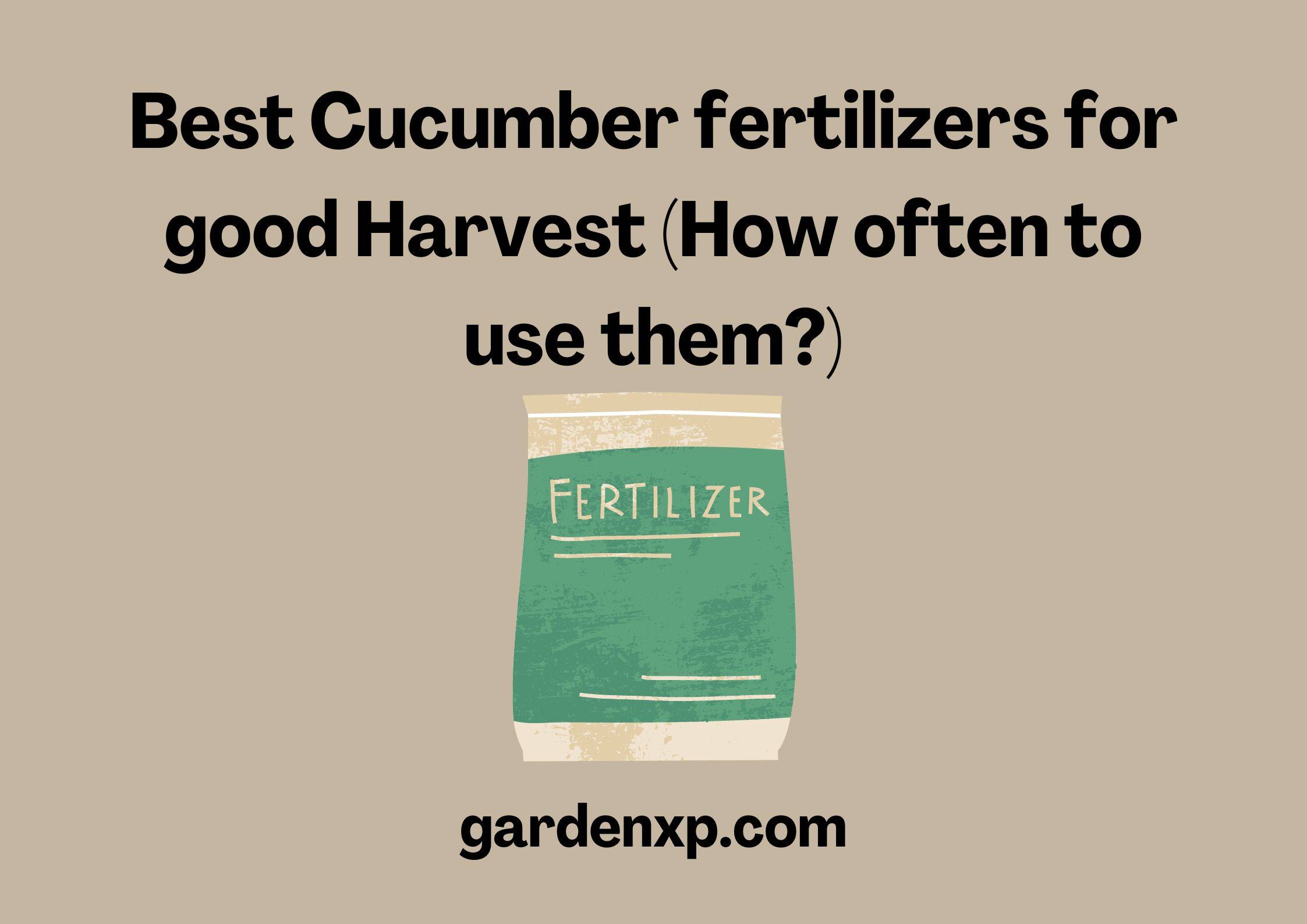 Best Cucumber fertilizers for good Harvest (How often to use them?)