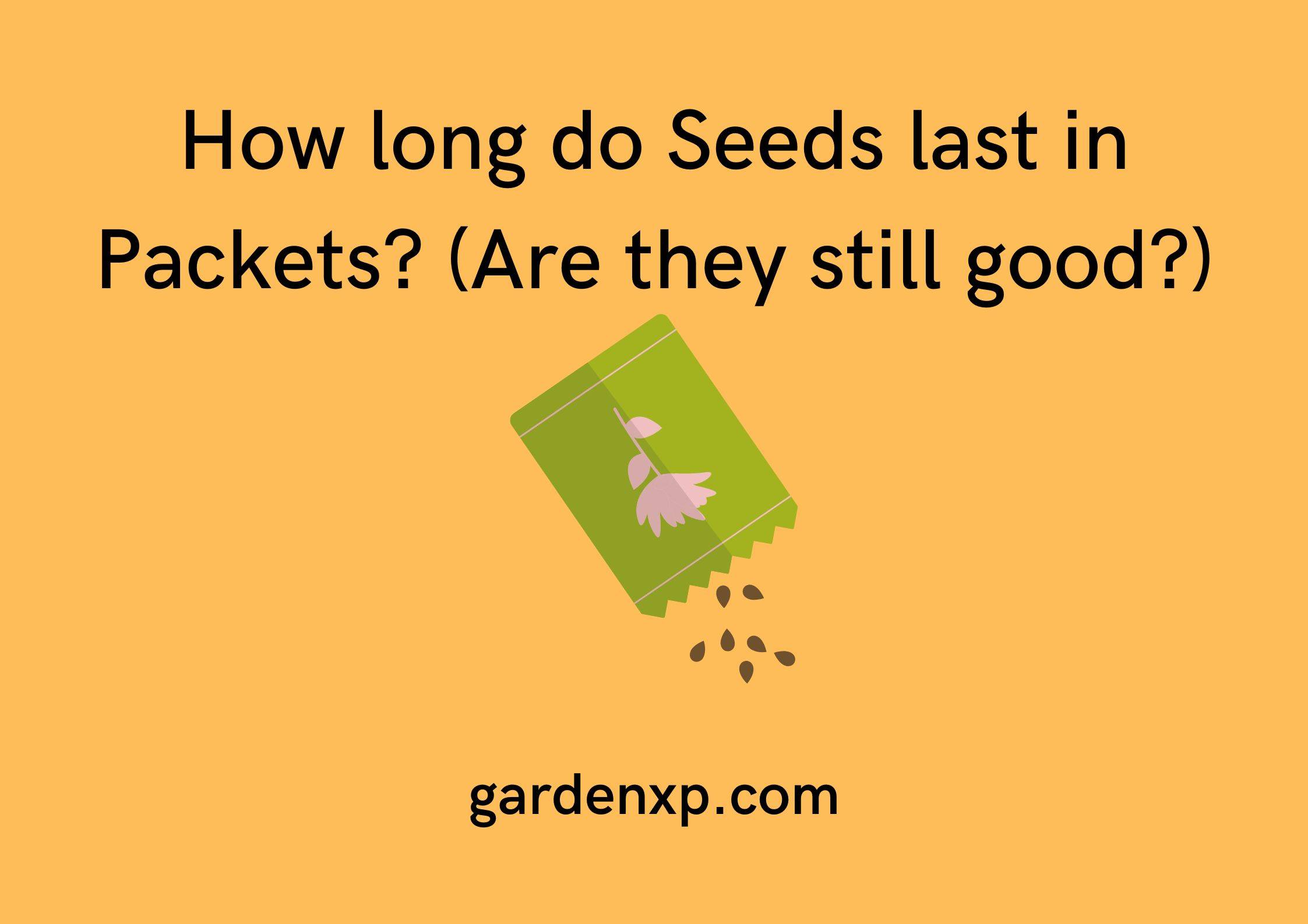 How long do Seeds last in Packets? (Are they still good?)