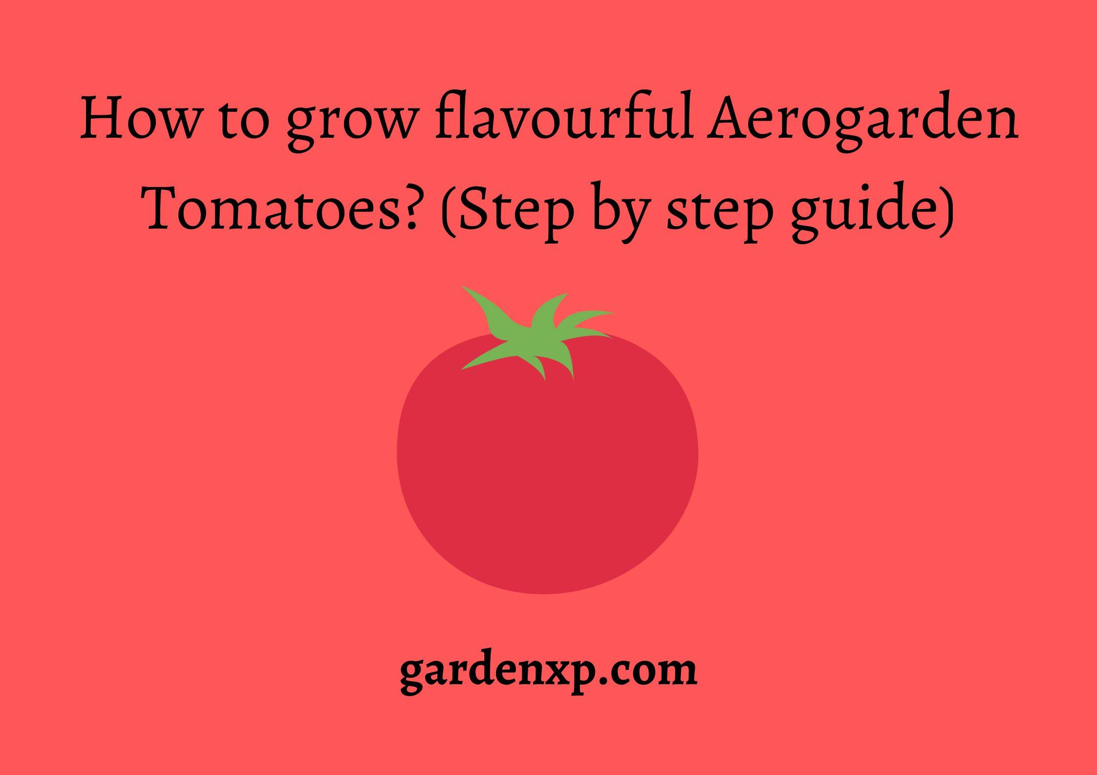 How to grow flavourful Aerogarden Tomatoes? (Step by step guide)