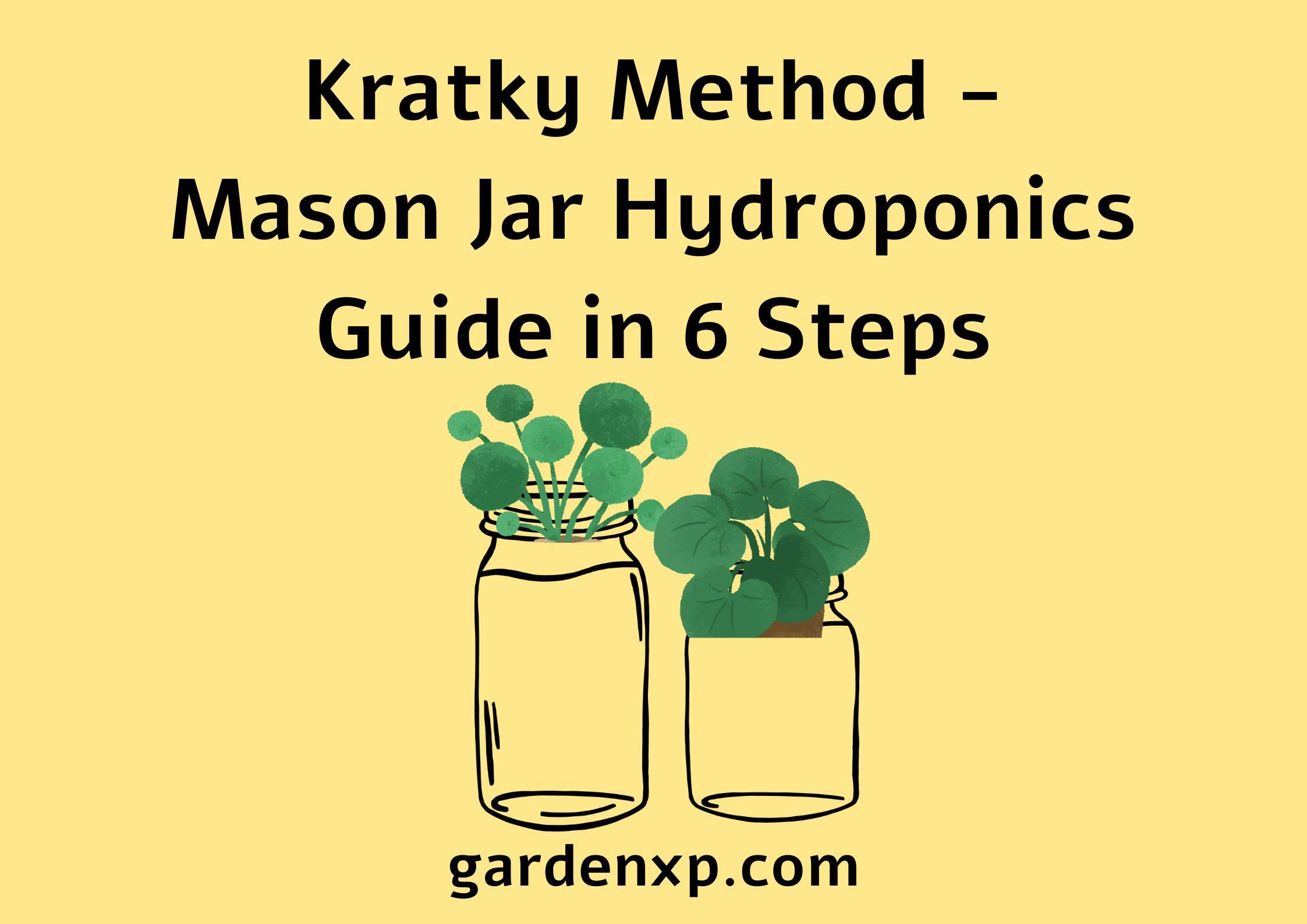 Kratky Method - Mason Jar Hydroponics Guide in 6 Steps