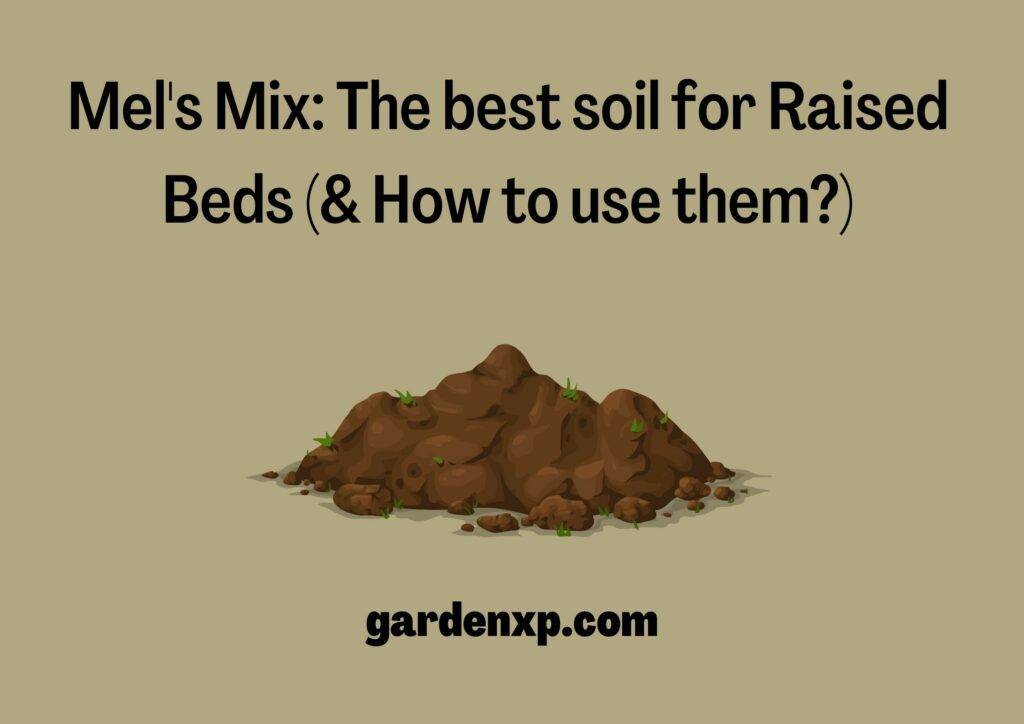 Mel's Mix The best soil for Raised Beds (& How to use them?)