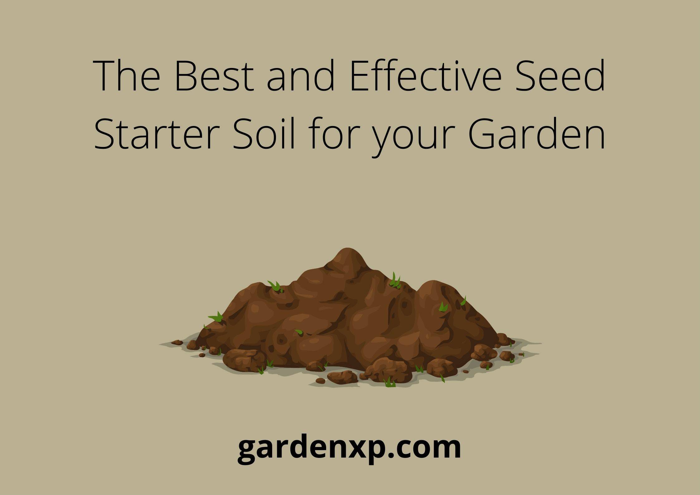 The Best and Effective Seed Starter Soil for your Garden