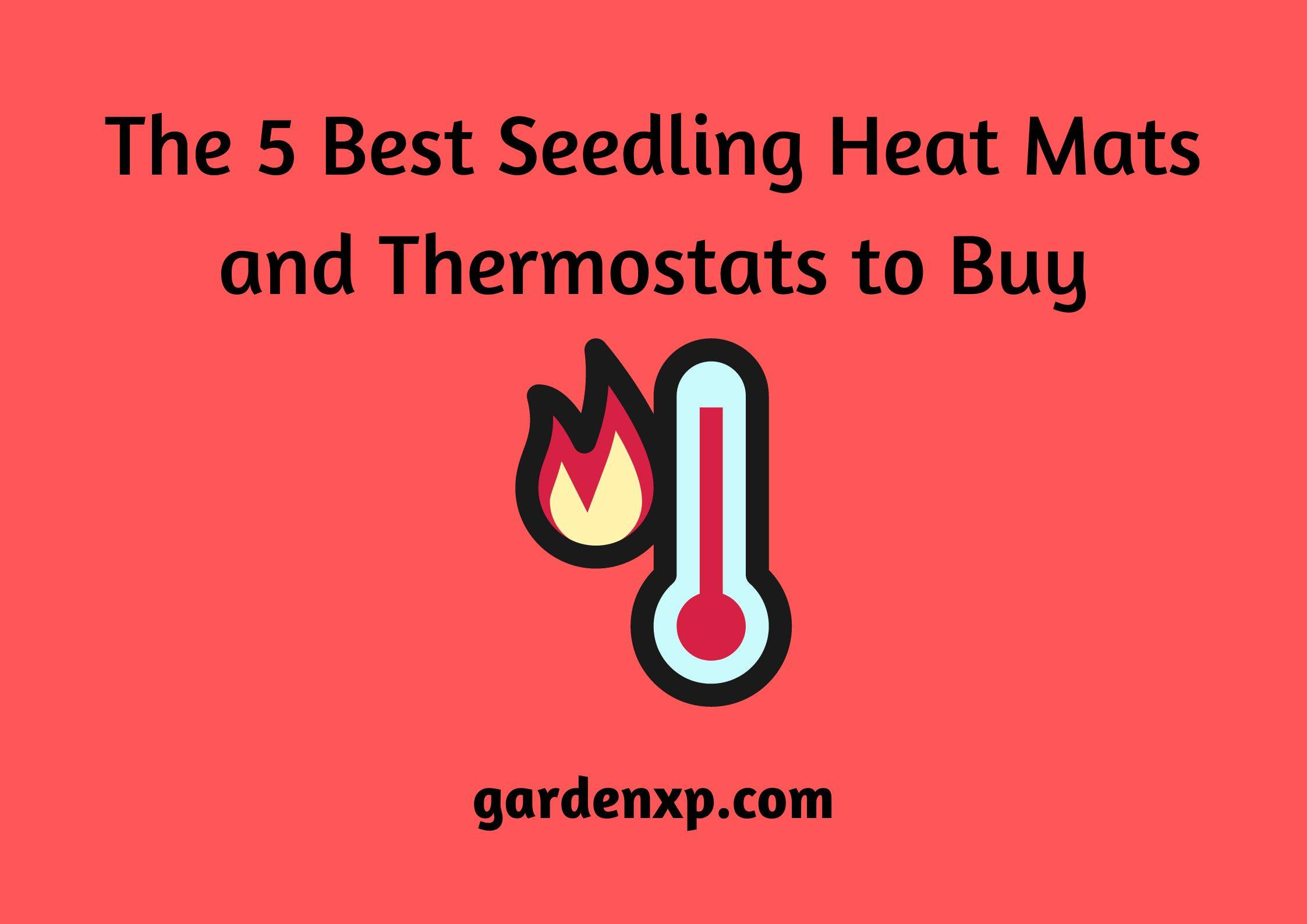 The 5 Best Seedling Heat Mats and Thermostats to Buy