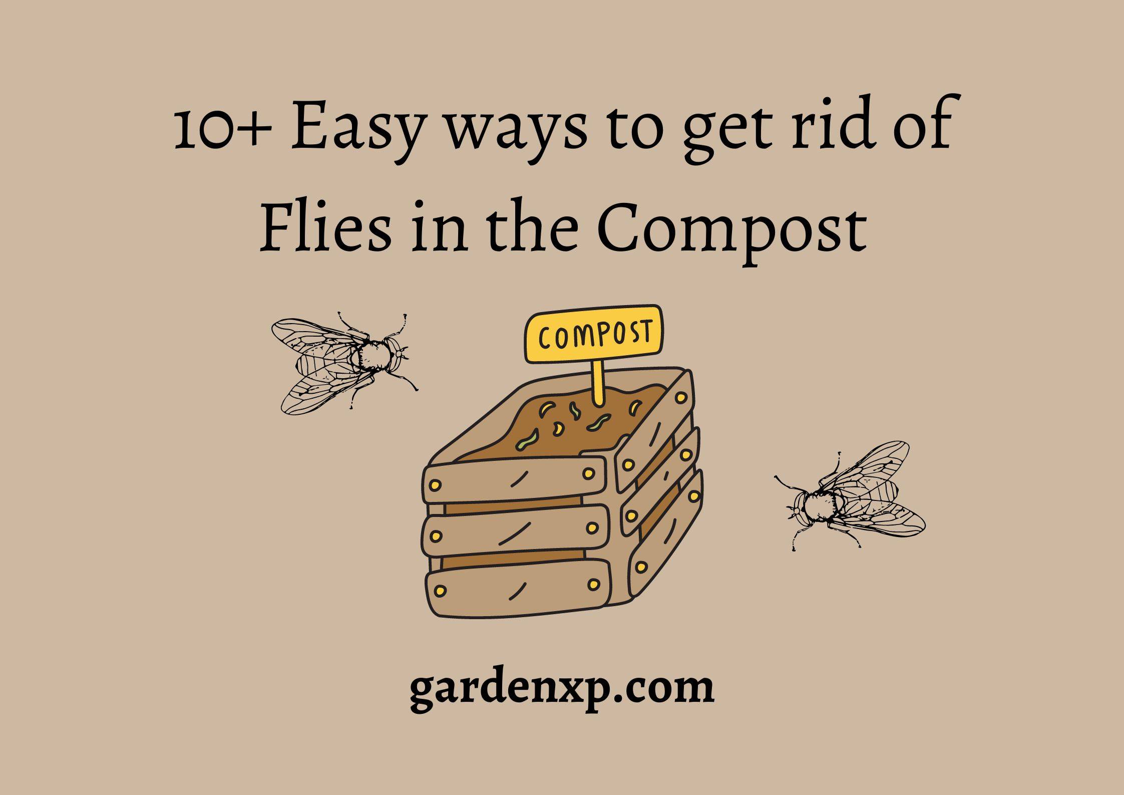 10+ Easy ways to get rid of Flies in the Compost