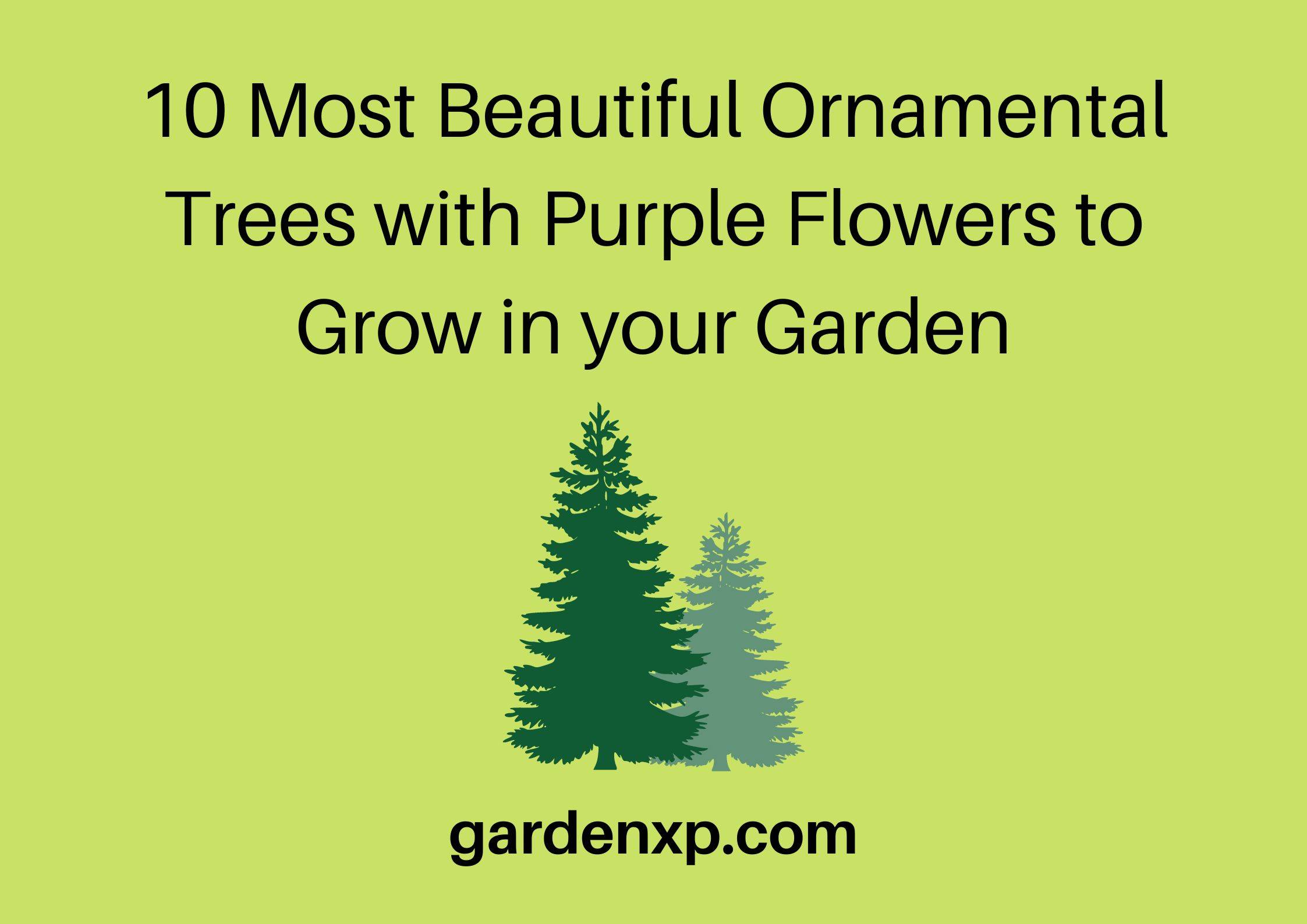 10 Most Beautiful Ornamental Trees with Purple Flowers to Grow in your Garden