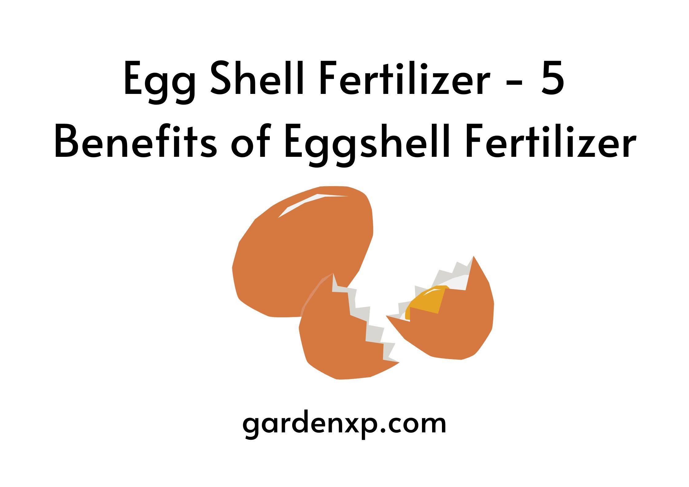Egg Shell Fertilizer - 5 Benefits of Eggshell Fertilizer