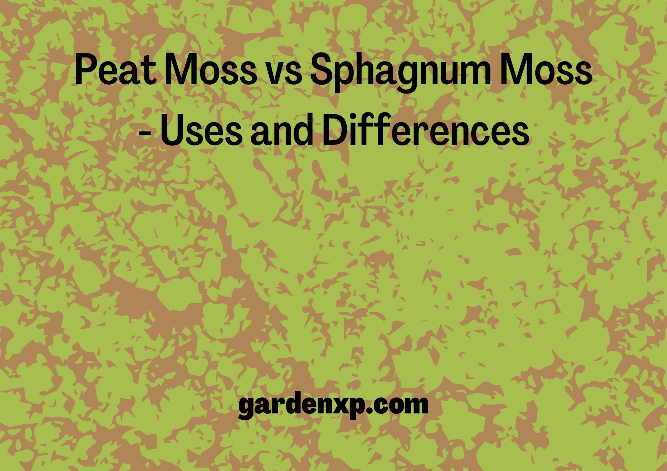 Peat Moss vs Sphagnum Moss - Uses and Differences