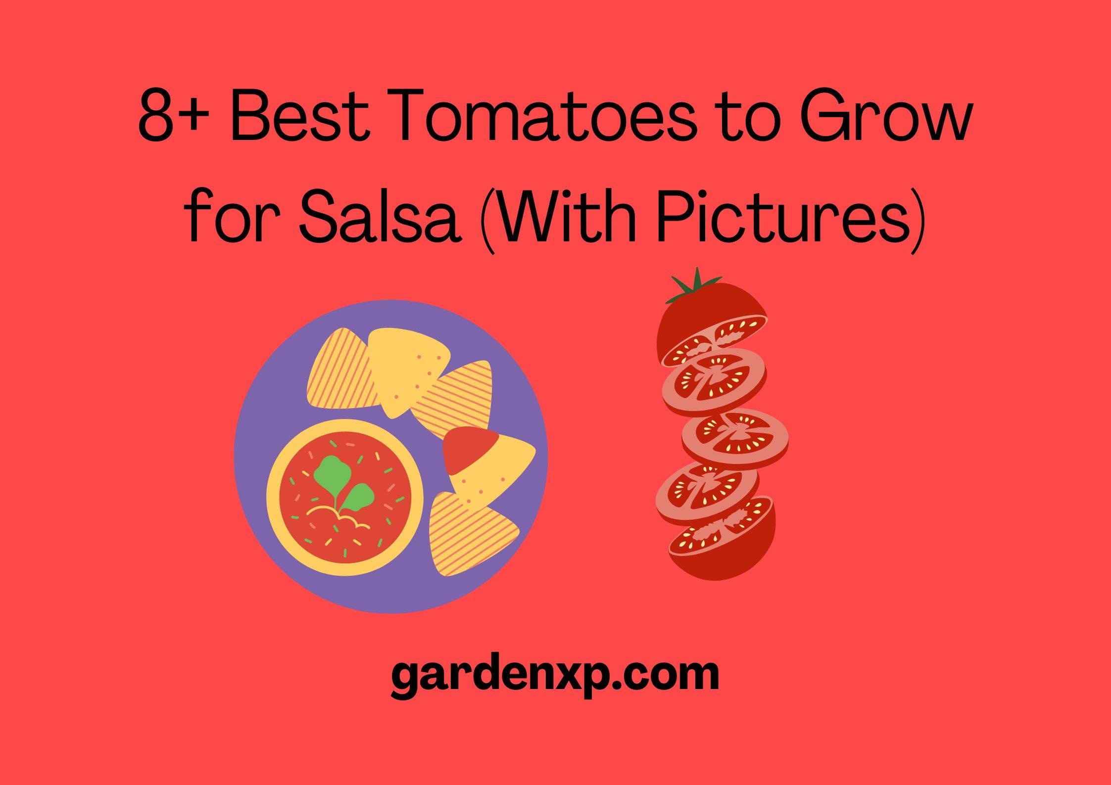 8+ Best Tomatoes to Grow for Salsa (With Pictures)