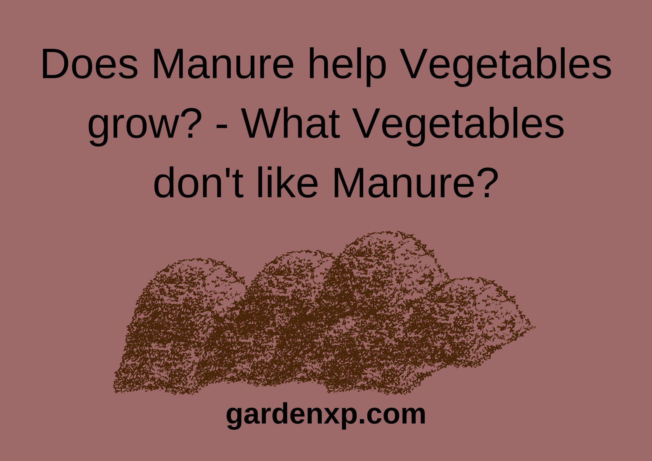 Does Manure help Vegetables grow? - What Vegetables don't like Manure?