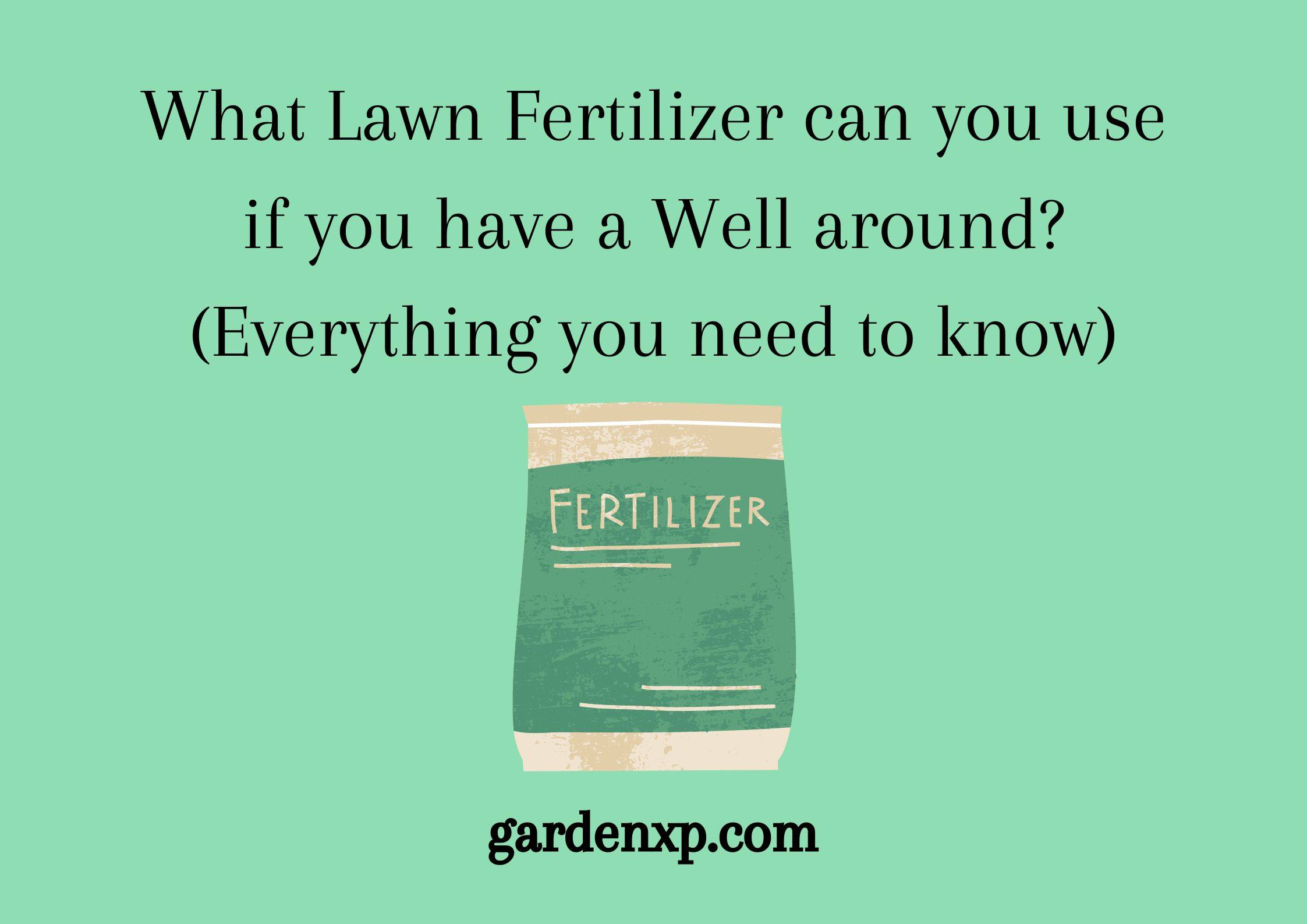 What Lawn Fertilizer can you use if you have a Well around? (Everything you need to know)